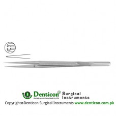 Micro Pierse Forcep With Counter Balance Stainless Steel, 15 cm - 6" Diameter 0.30 mm